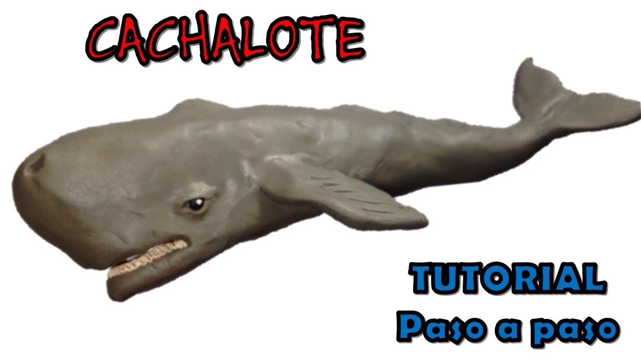 Como hacer una ballena Cachalote de Plastilina / How to make a Sperm whale with clay