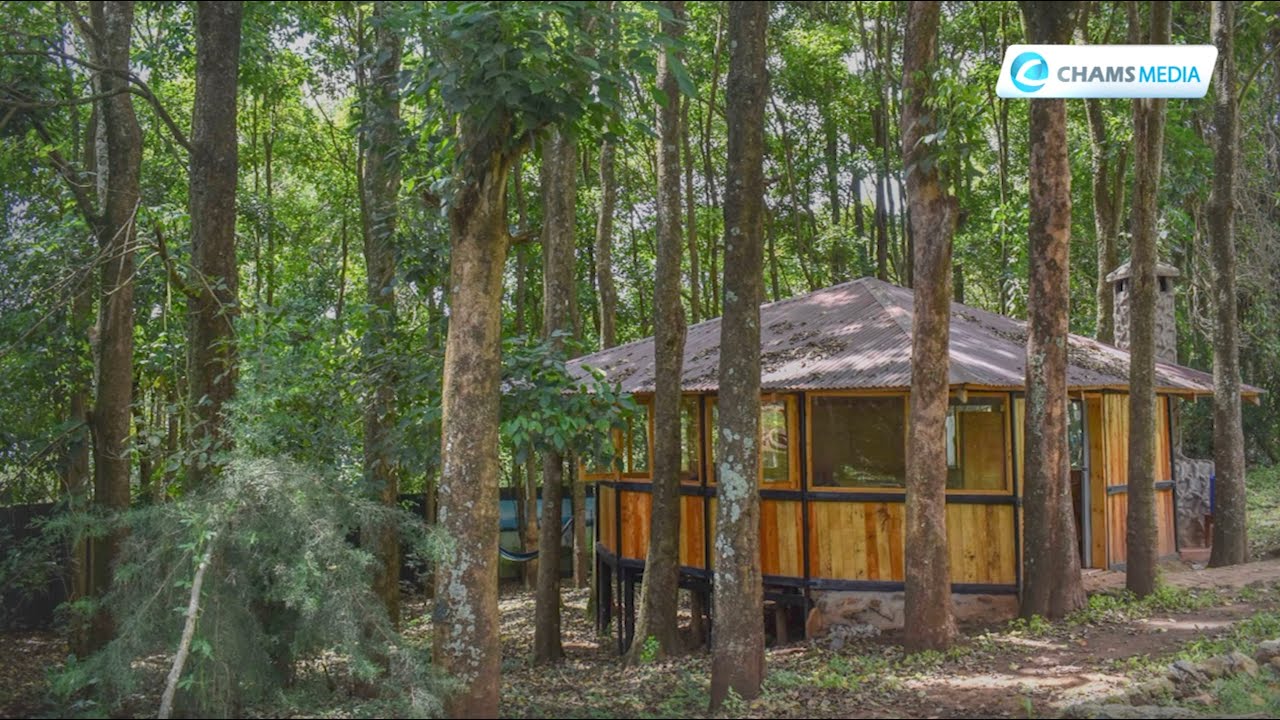 Hidden Treasures at Afrikana Yard Cottages, Kitale