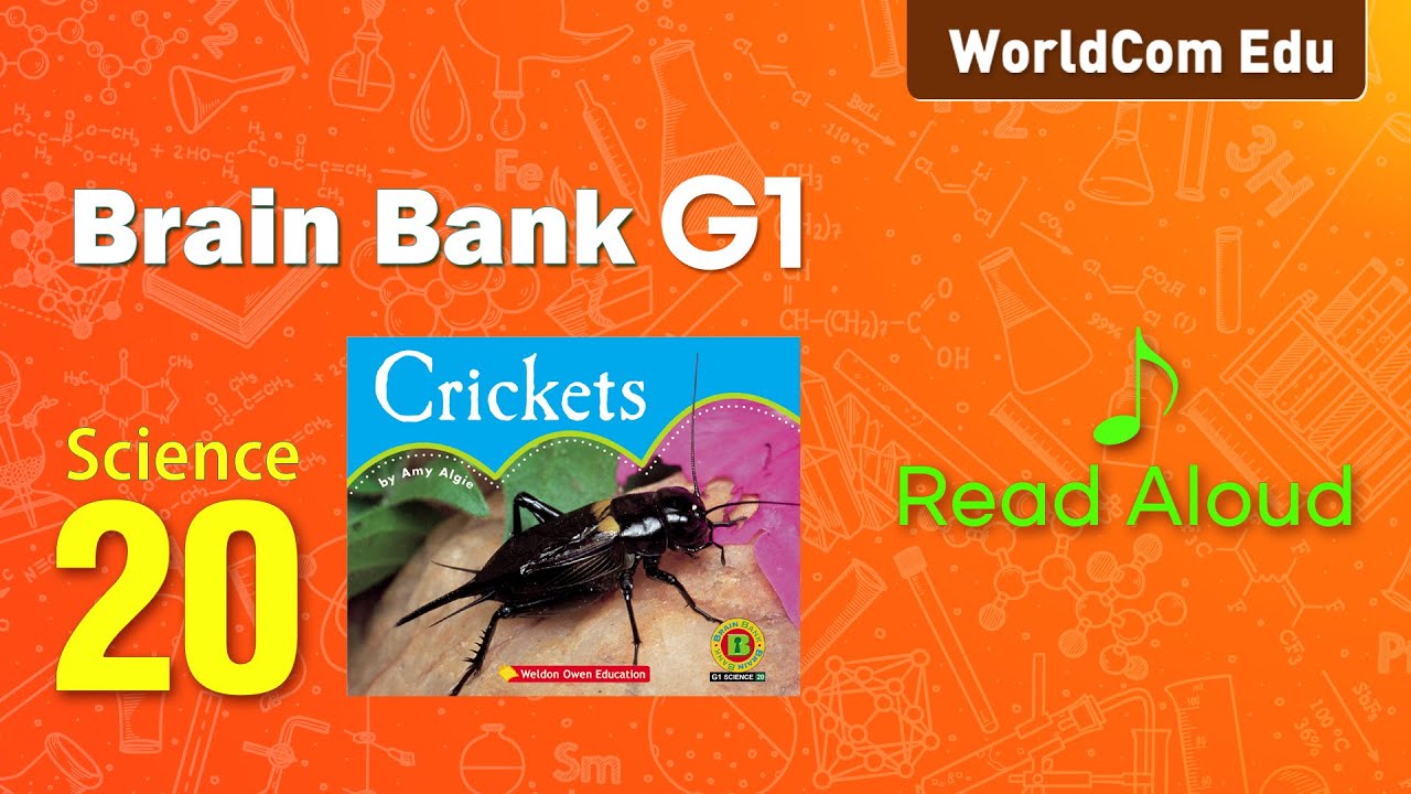 브레인뱅크 G1  Science  I 20. Crickets  I  Read Aloud