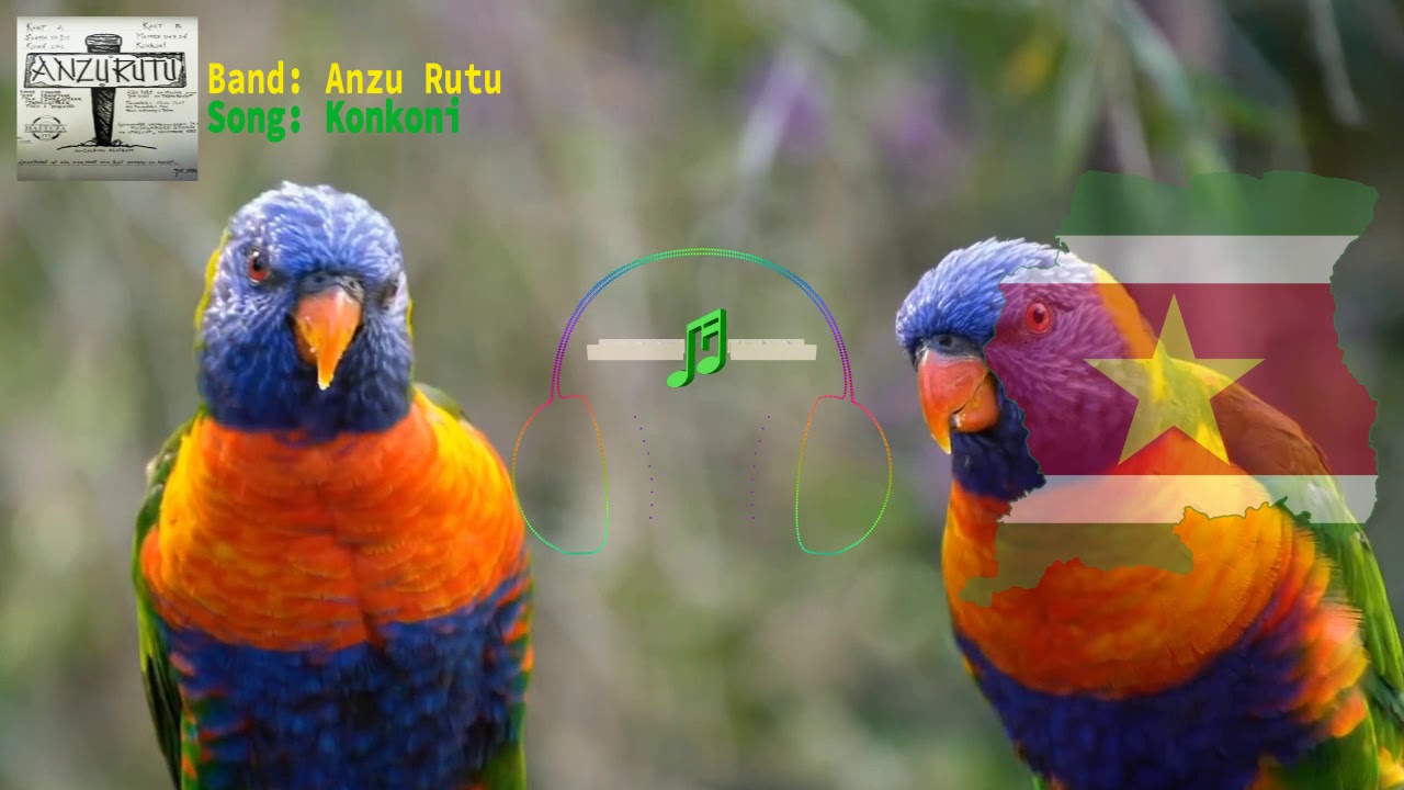 Konkoni - Anzu Rutu | 𝐁𝐚𝐧𝐤𝐦𝐮𝐬𝐢𝐬𝐢