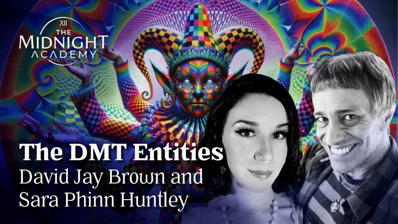 Episode 14: DMT Entities & Contact with David Jay Brown and Sara Phinn Huntley