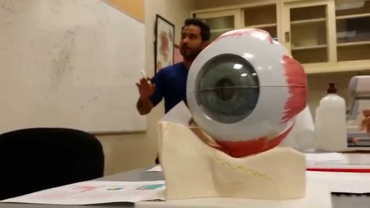 طريقة قراءة نتائج جهاز التوبوغرفي 1 (BENTACAM)