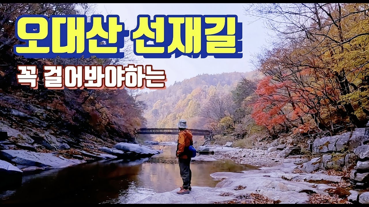 꼭 걸어봐야하는 / 오대산 선재길 / 적멸보궁 / 중대사자암 / 상원사 / 월정사