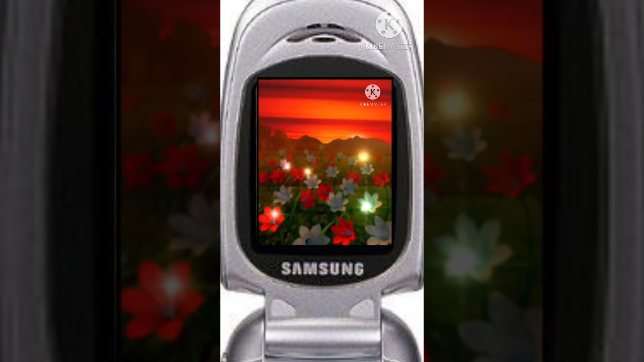 Samsung SGH-D444 Startup and Shutdown (2003)