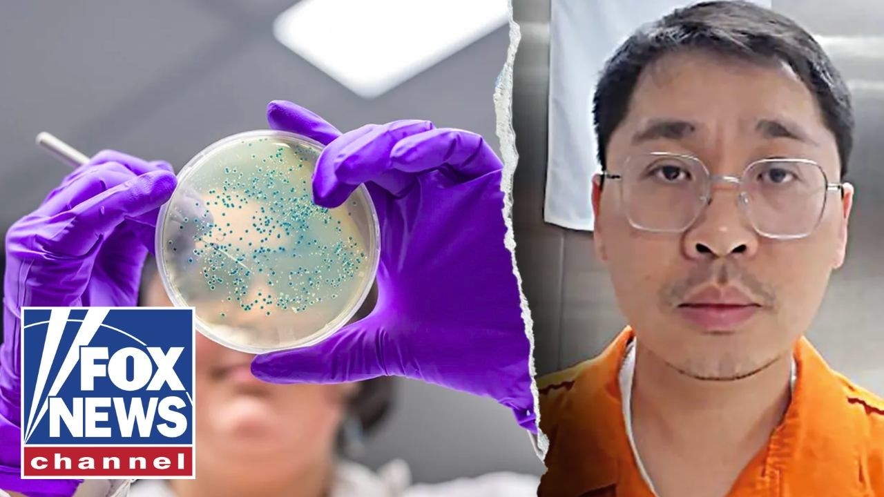 Биологический патоген, маркированный как женское нижнее белье, контрабандой ввезен в США.