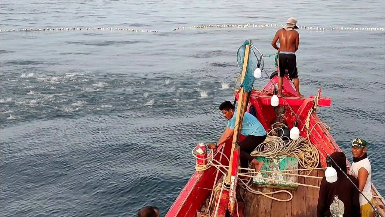 Pukat cincin, Nelayan Indonesia Dapat Banyak Ikan, luar biasa hasil tangkapan nelayan Indonesia