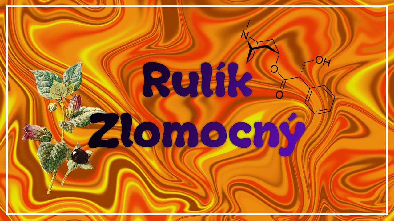 Rulík Zlomocný