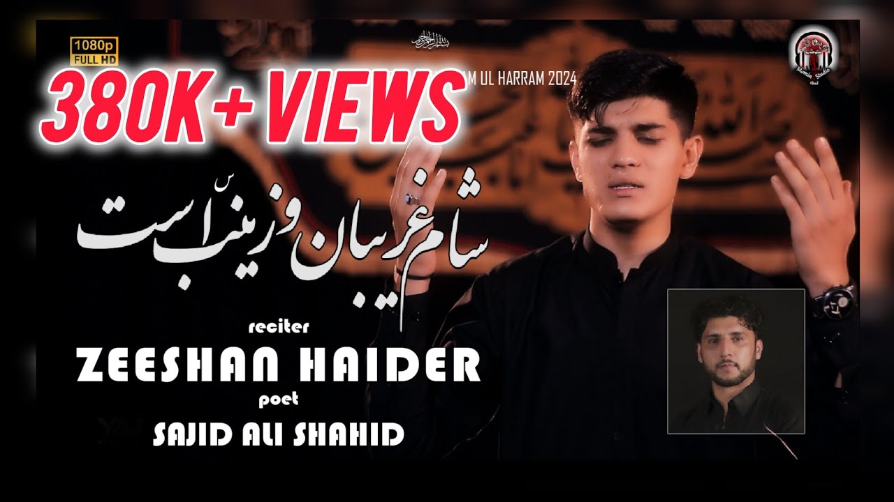 Zeeshan Haider || New Noha 24 || وای از دل زینب  || Muharram ul Haram || #azadar #muharram2024