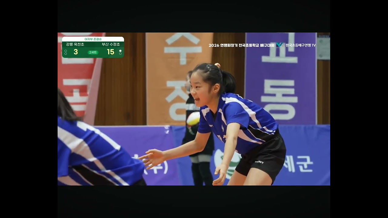 2026 연맹회장기 전국초등학교 배구대회 4강 부산 수정초 VS 강릉 옥천초 2세트