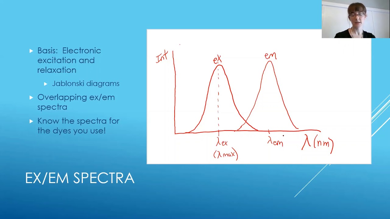 Bioanalytical Chemistry:  Fluorescence as an assay readout