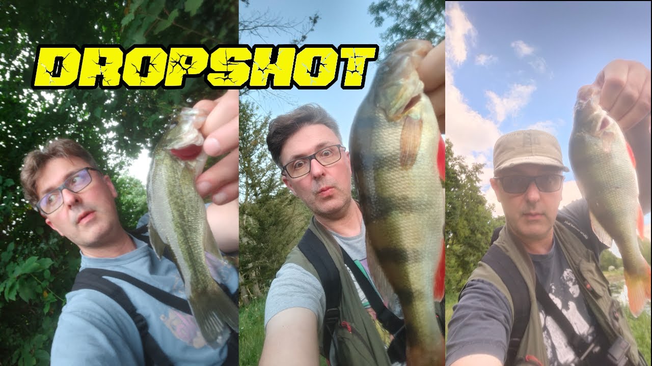 Dropshot # 6 : Perche black bass et un peu de montage texan