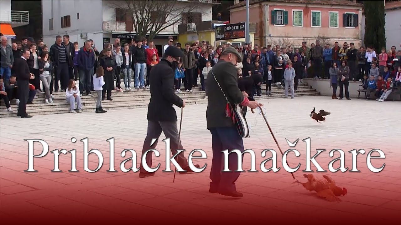 Priblaćke mačkare 2014 - Otok