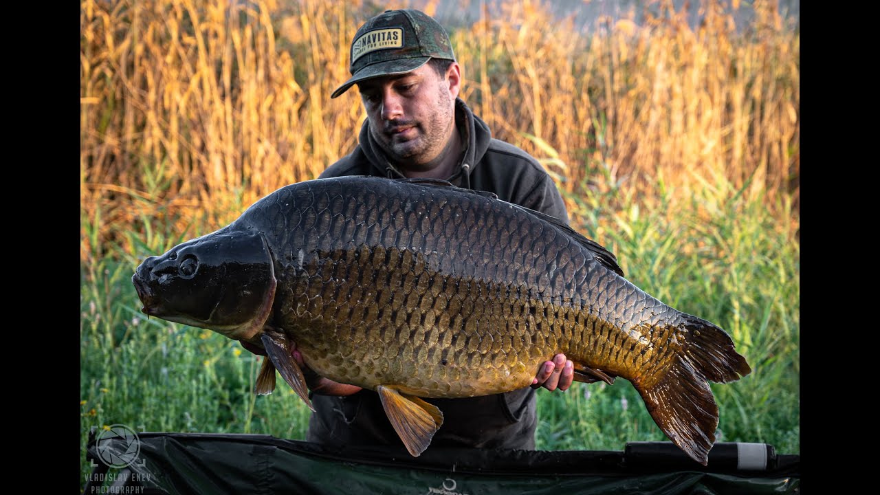 Шаранджийски риболов на язовир Хирево. 21кг.+ !!!  / Amazing carp fishing session at Hirevo lake !!!