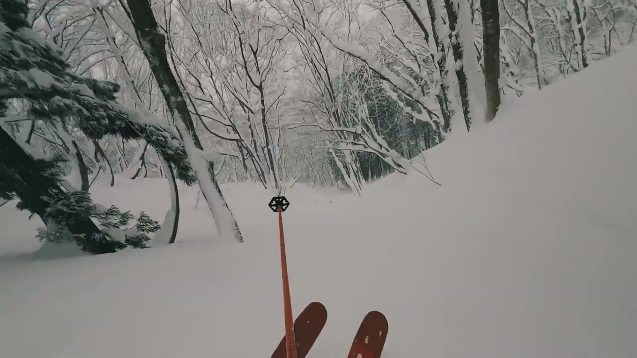 260124_鉢巻山