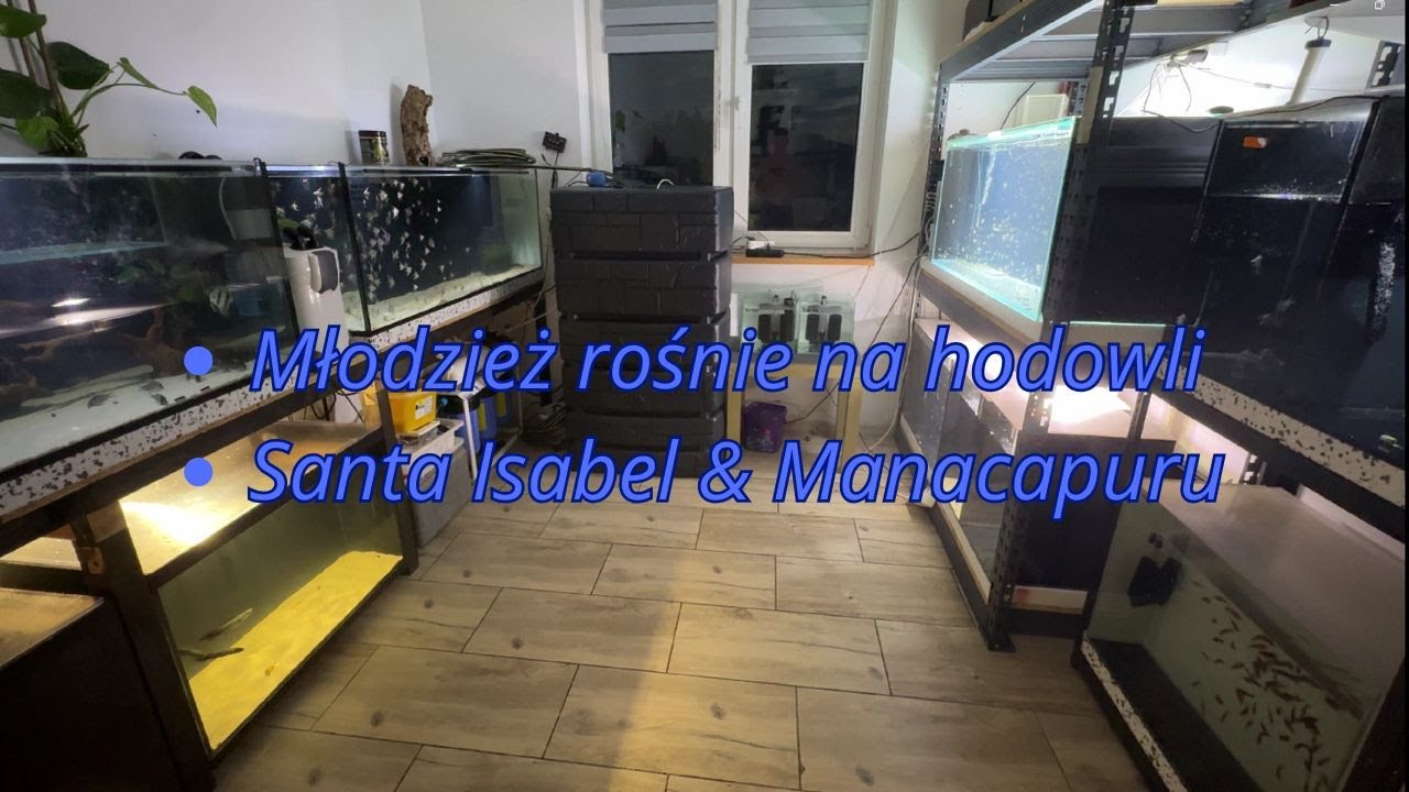 Co nowego na Hodowli & nowa młodzież rośnie