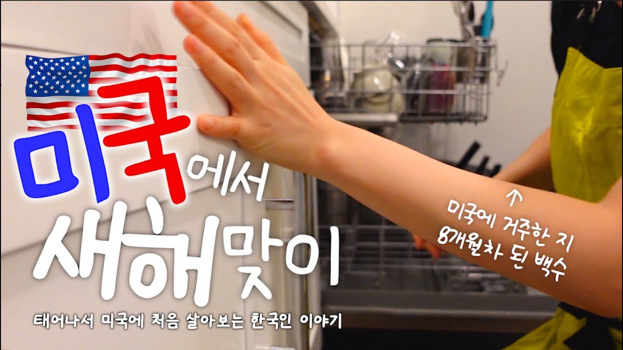 미국일기 72화 🇺🇸 미국에서 처음 새해를 맞이하는 한국인 부부의 1월 1일 찐모습