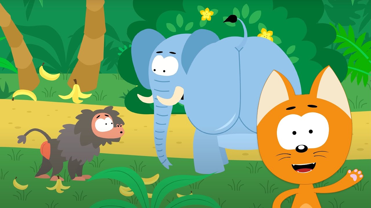 El gatito Kot&eacute; | El trasero del babuino | Canciones infantiles y dibujos animados