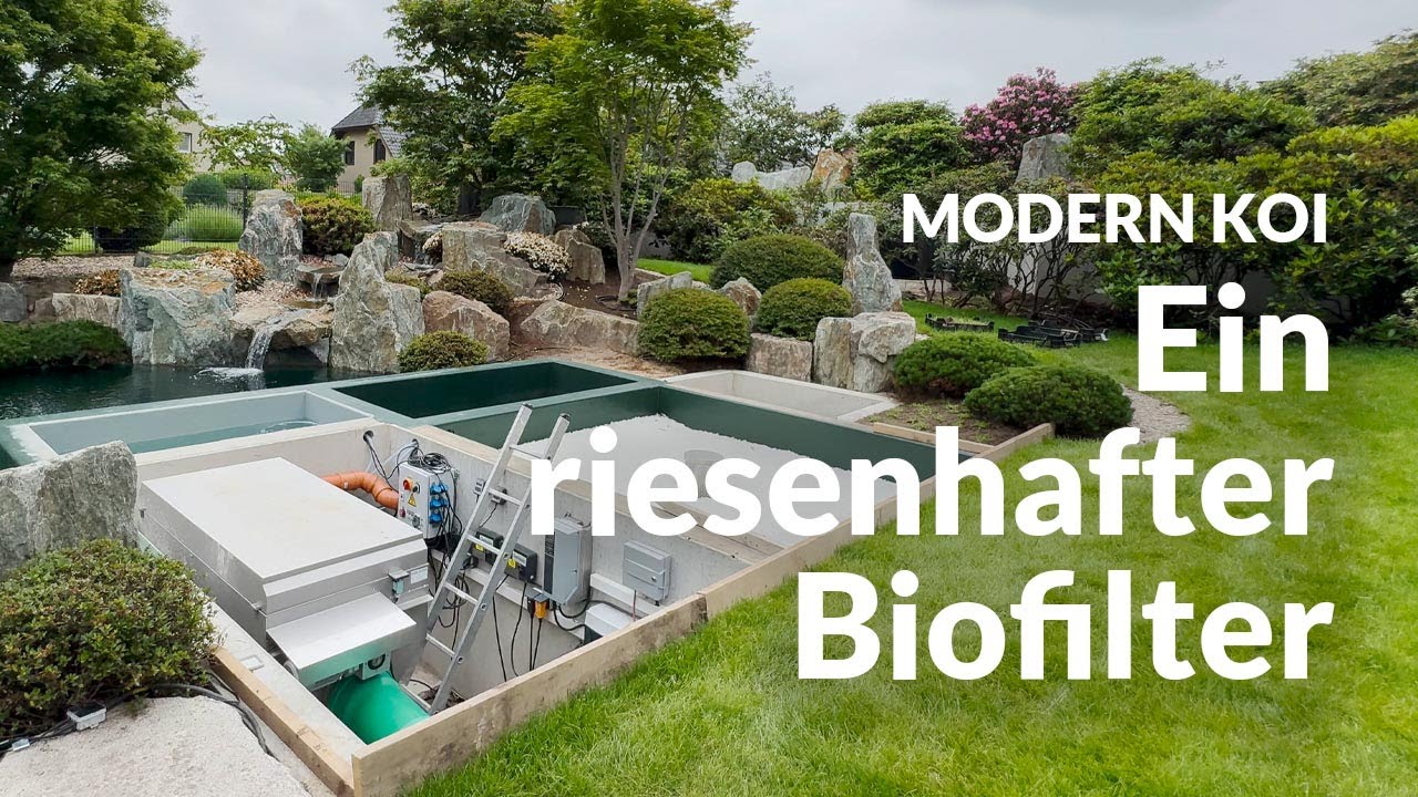 Sebastians Trommelfilteranlage zum 75.000 Liter Teich | Modern Koi Blog #6861