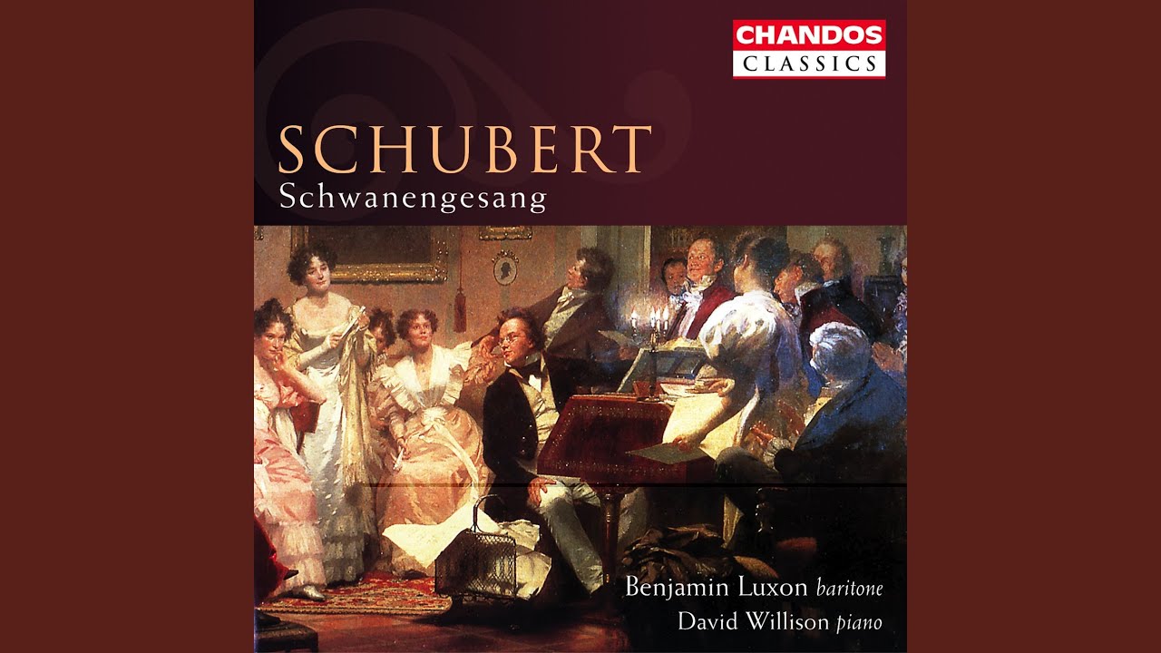 Schwanengesang, D. 957: VI. In der Ferne