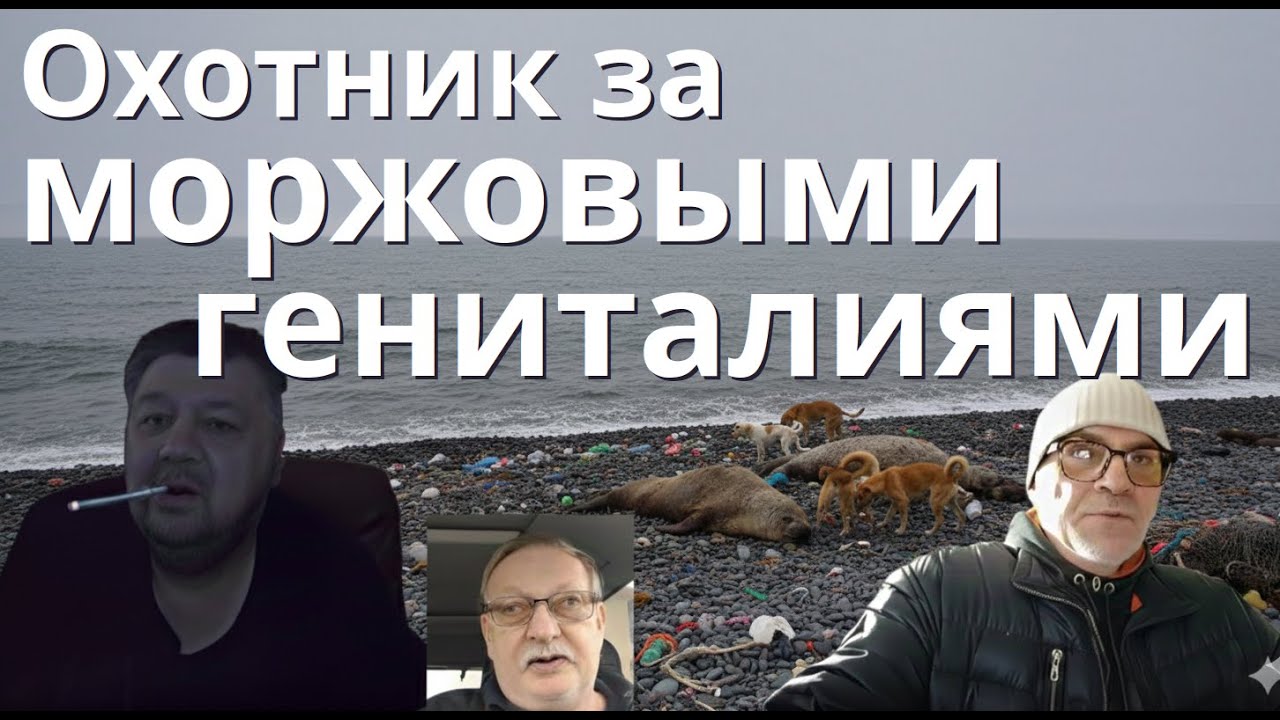 Чукотка, моржи, золото и воспоминания о СССР: странный разговор с охотником.