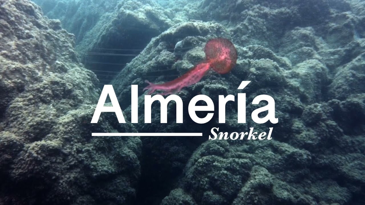 Almería y sus fondos - Snorkel