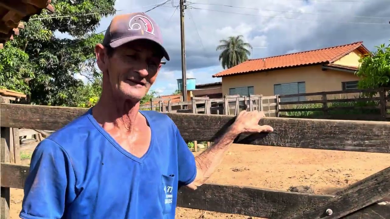 🌽FUI CONVIDAR MEU TIO PRA UMA  PAMONHADA EM FAMILIA NA ROÇA /TEVE CHURRASCO 🍖 