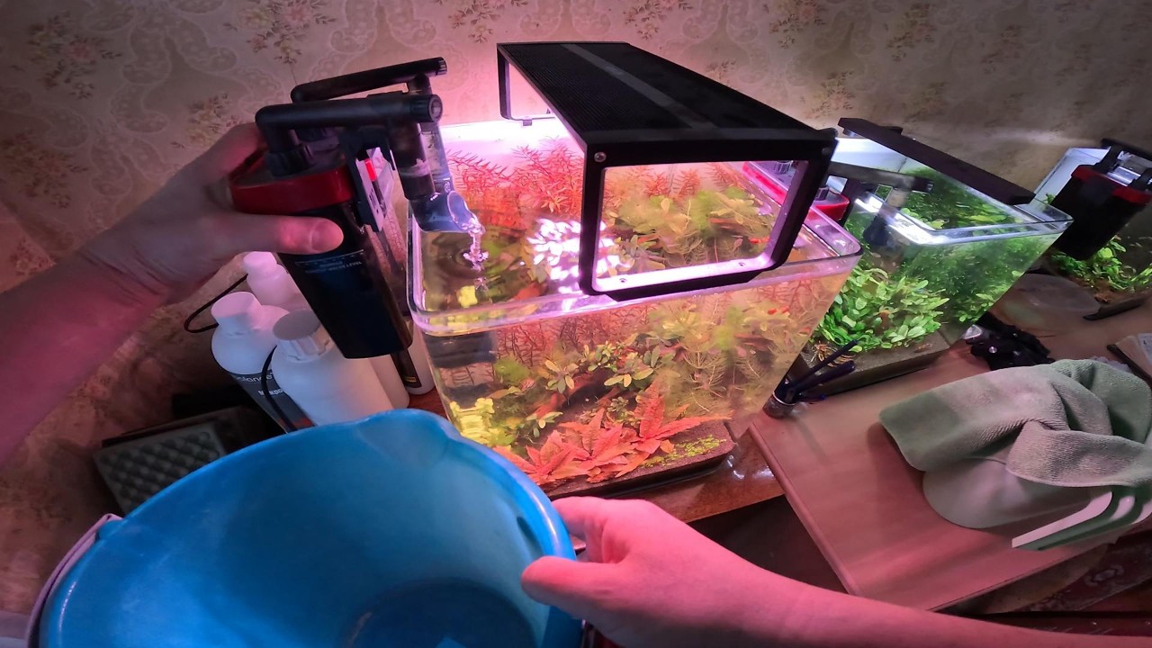 Биофильтрация НЕ НУЖНА? Мой эксперимент по Вальштадт.