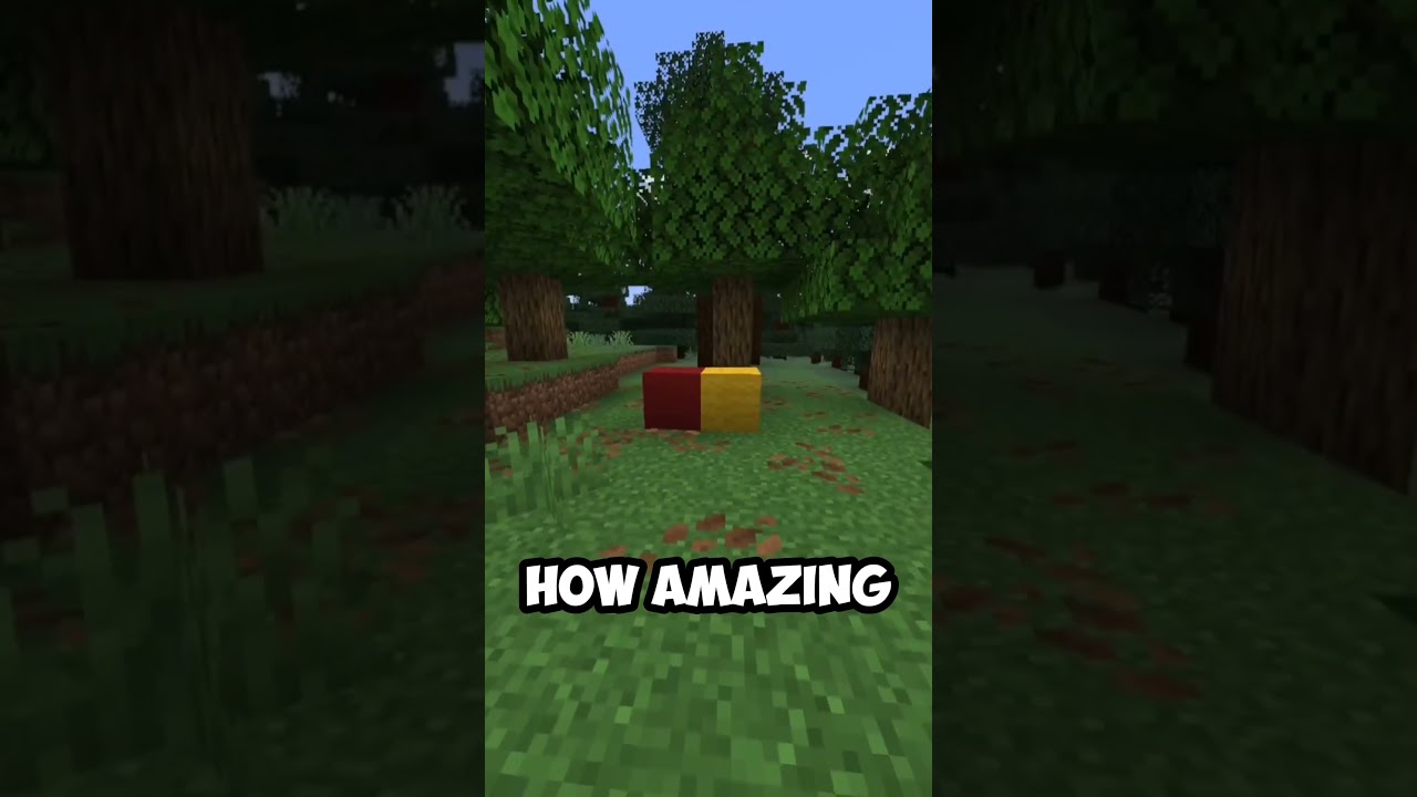 Red concrete next to yellow wool