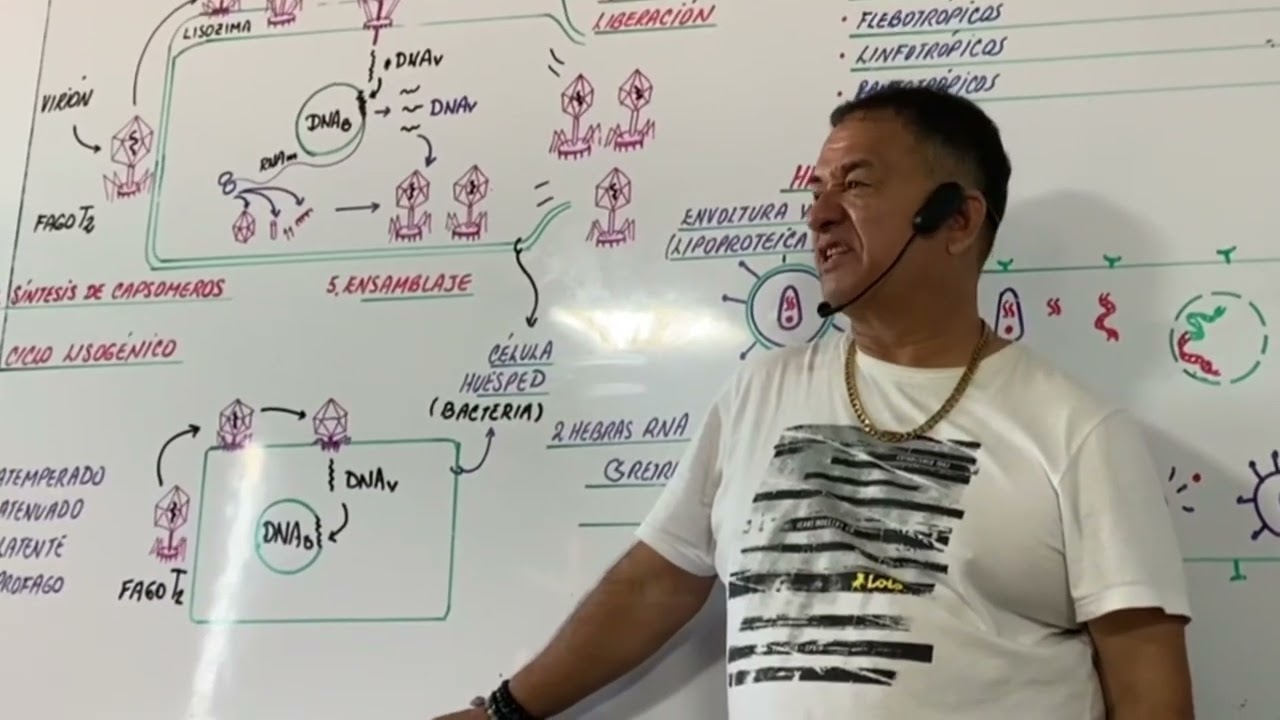 CICLO LÍTICO VIRUS - CICLO LISOGÉNICO - CLASE EN VIVO CON EL PROFESOR MÁS DIDÁCTICO DE AMÉRICA ---