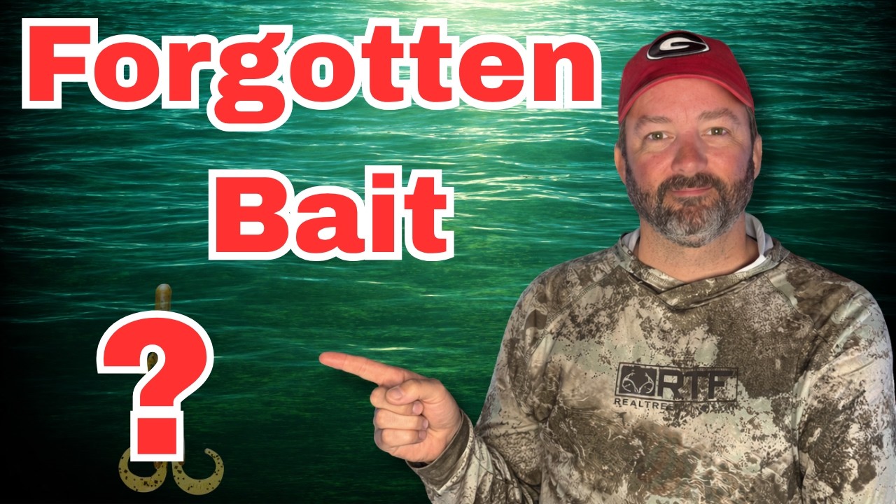 The Forgotten Bait That Still Catches GIANT Bass