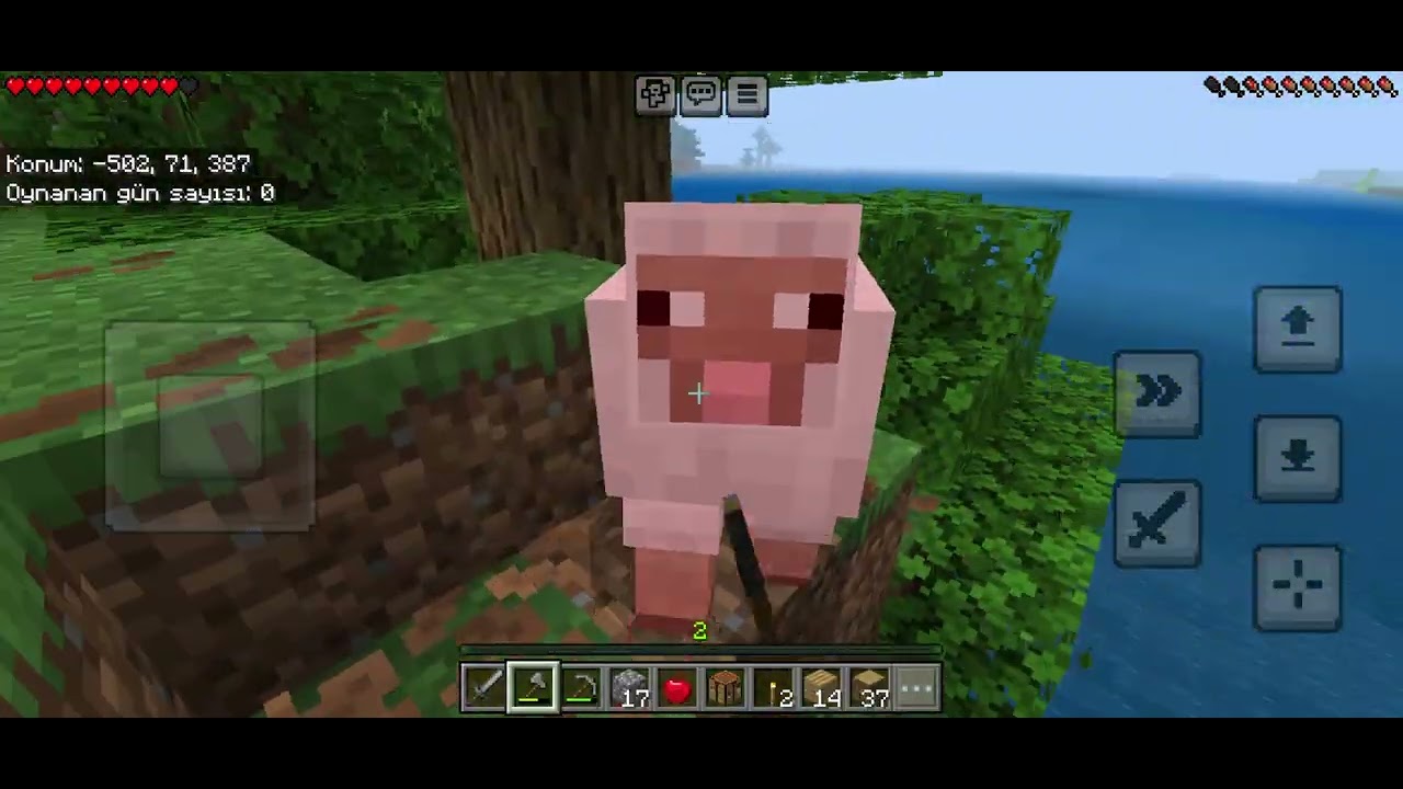 Minecraft bölüm 1