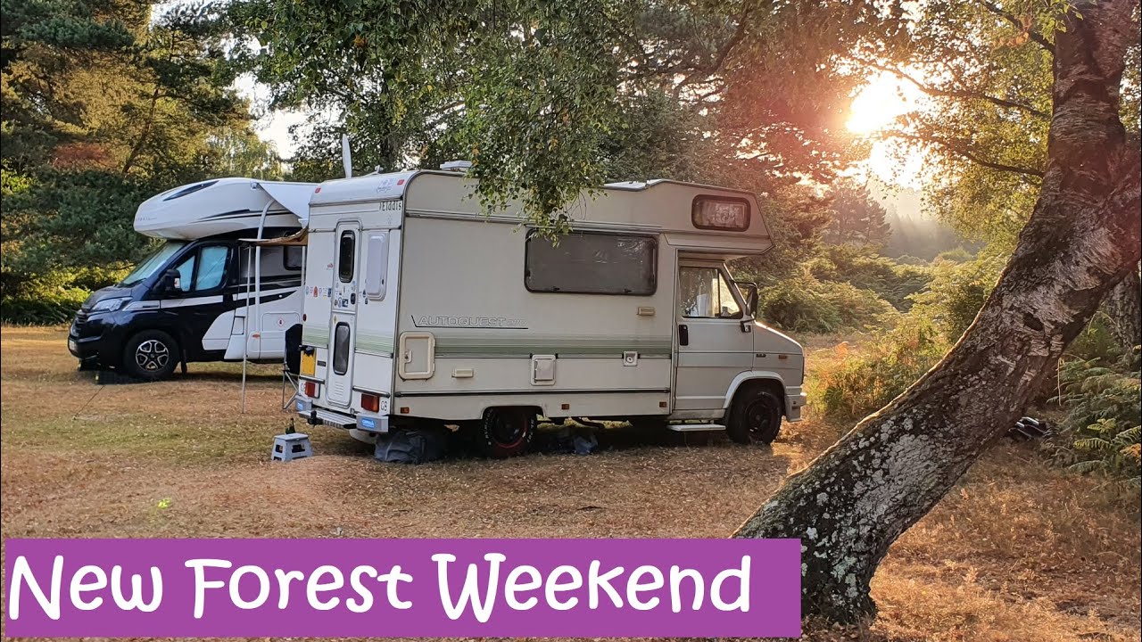Roundhill Camping In The Forest Site
