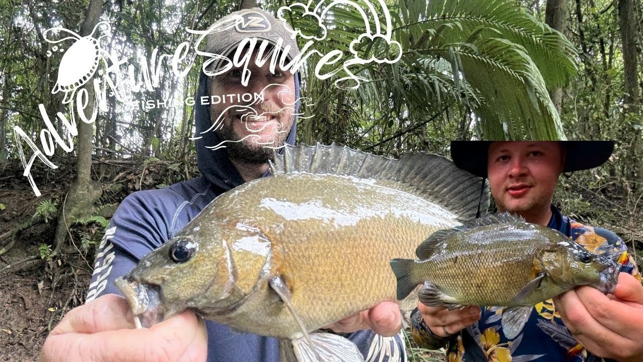 FISHING FOR SOOTIE GRUNTER IN FAR NTH QLD.