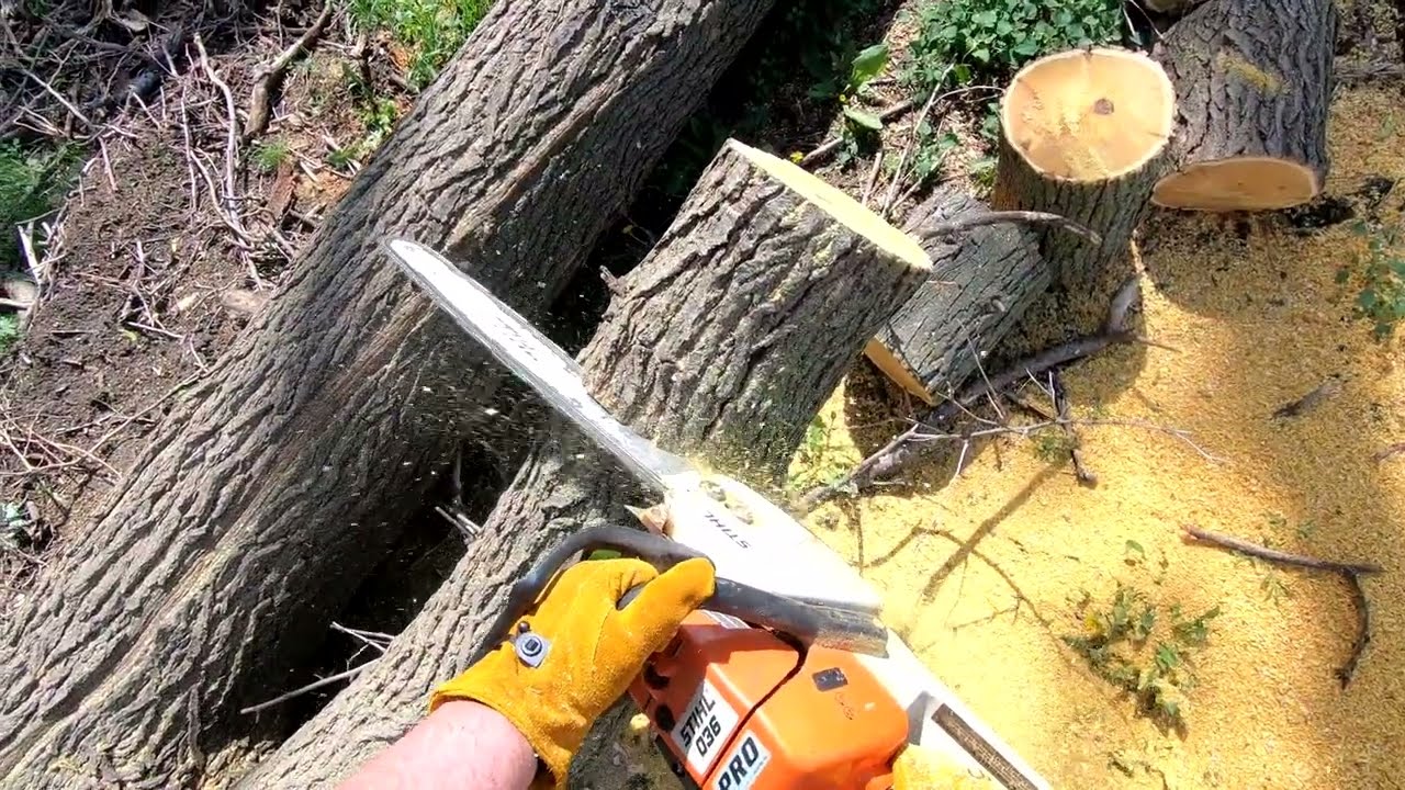 Storm Cleanup and Chainsaw Tips