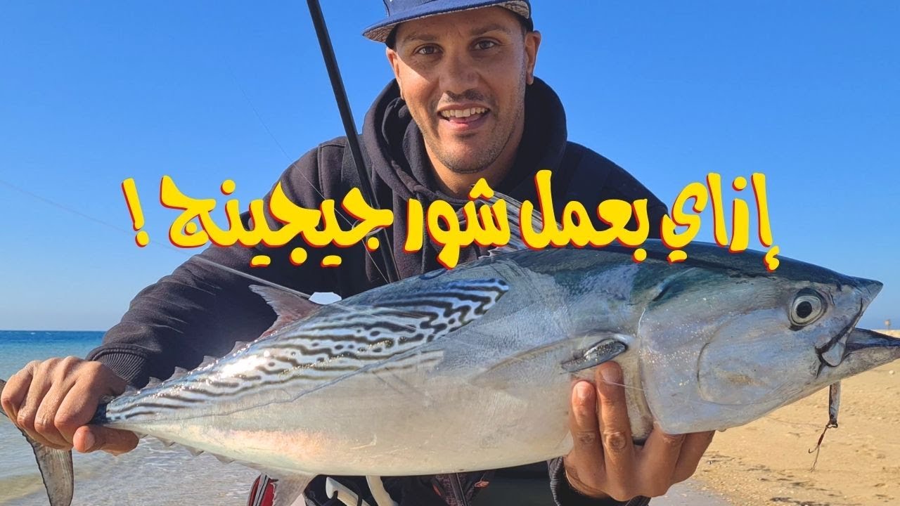 إزاي باستهدف سمكة التونة العنيدة على الشور جيجينج