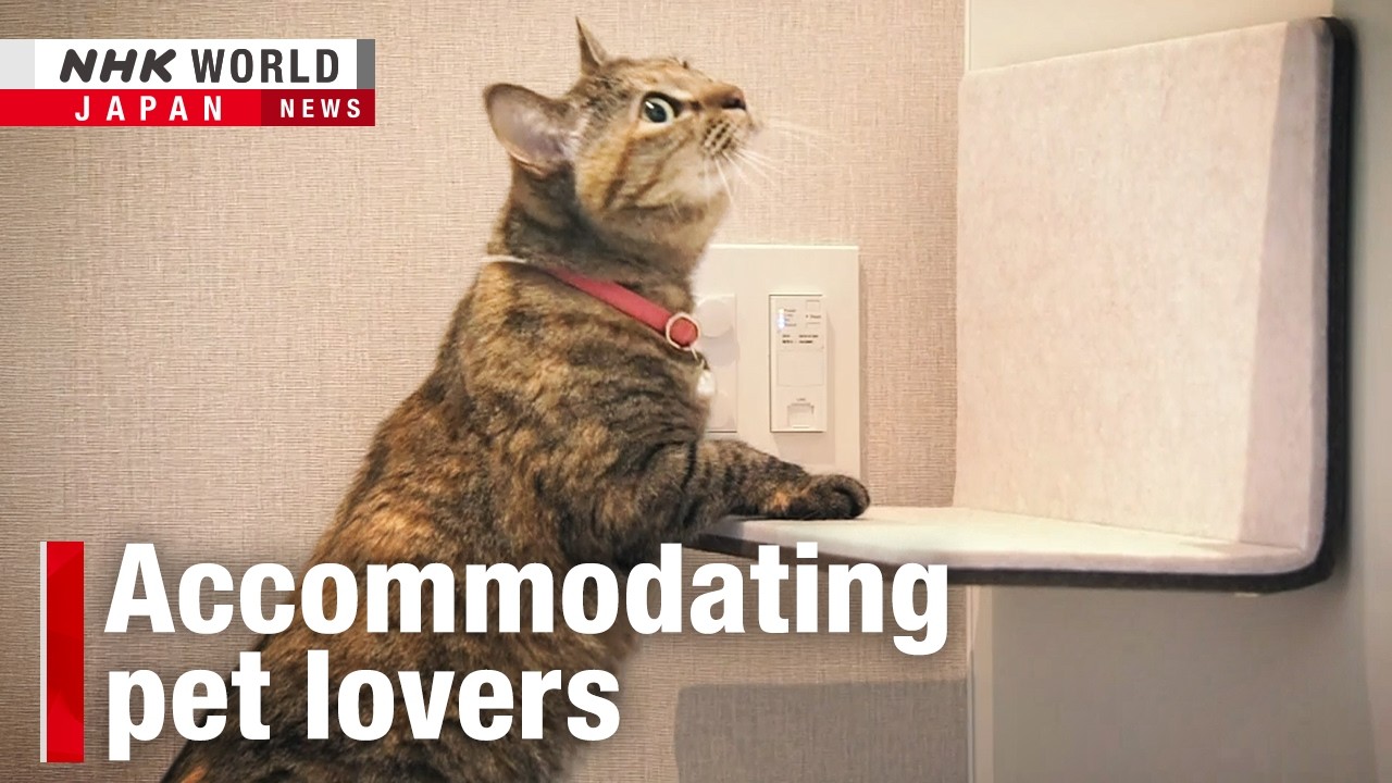 Japan developers bet on 'pets first' apartmentsーNHK WORLD-JAPAN NEWS