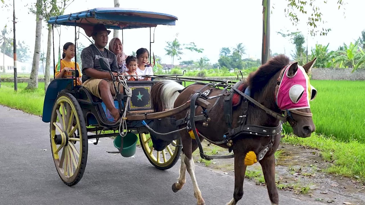 Keysha, Sheena & Aracelli Naik Kereta Kuda Delman Istimewa