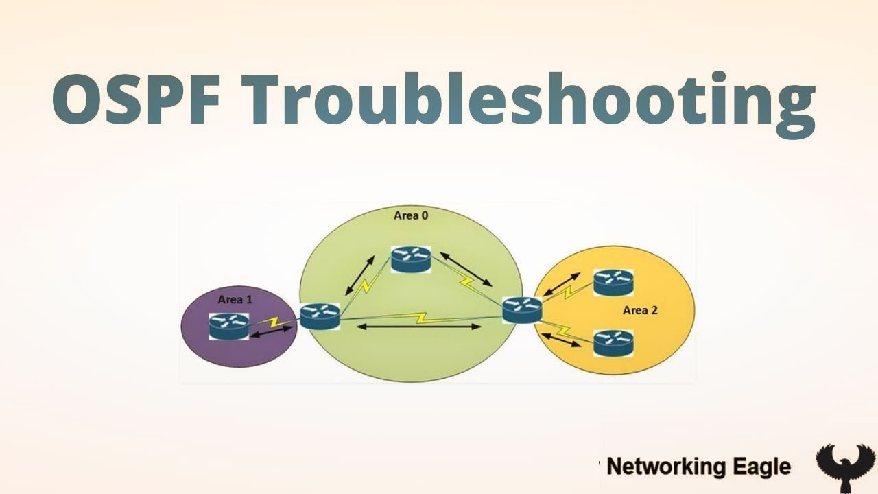 Real Time OSPF Troubleshooting   | CCNP | Hindi