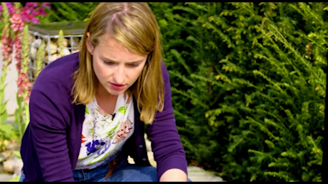 Inside Katie Rushworth's Show Garden