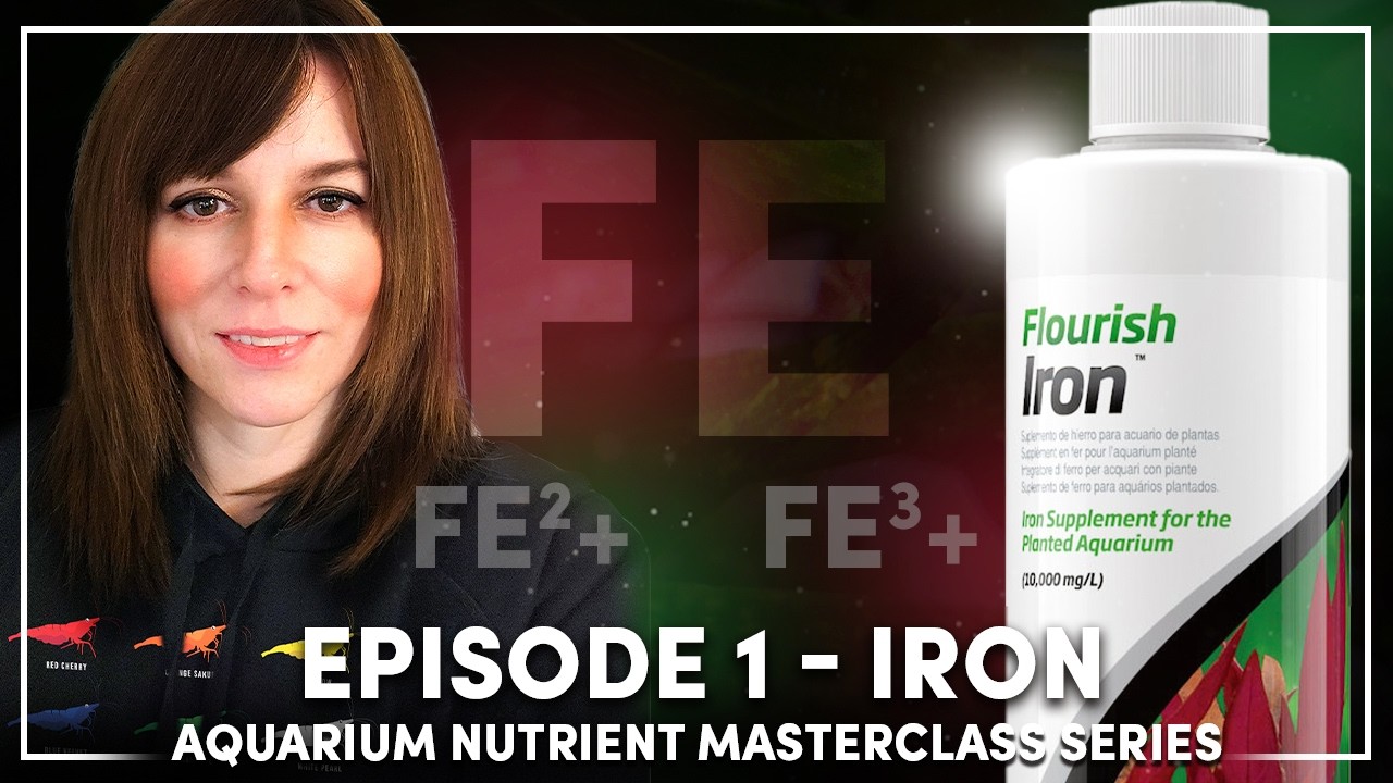 Железо в аквариумах с растениями — его роль и способы применения | Эпизод 1 — Мастер-класс по пит...