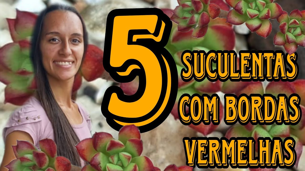 5 SUCULENTAS com BORDAS VERMELHAS