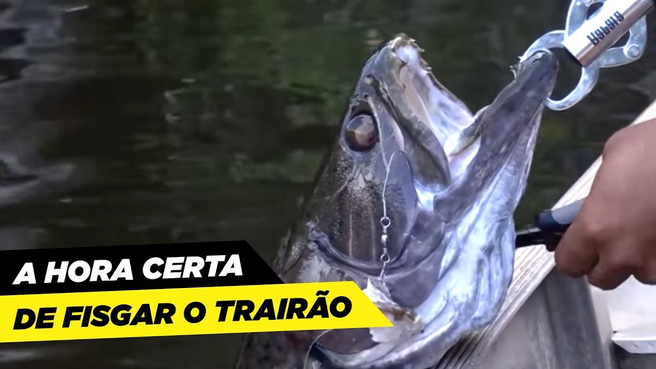 DICA: A HORA CERTA DE FISGAR O TRAIR&Atilde;O, APRENDA!!