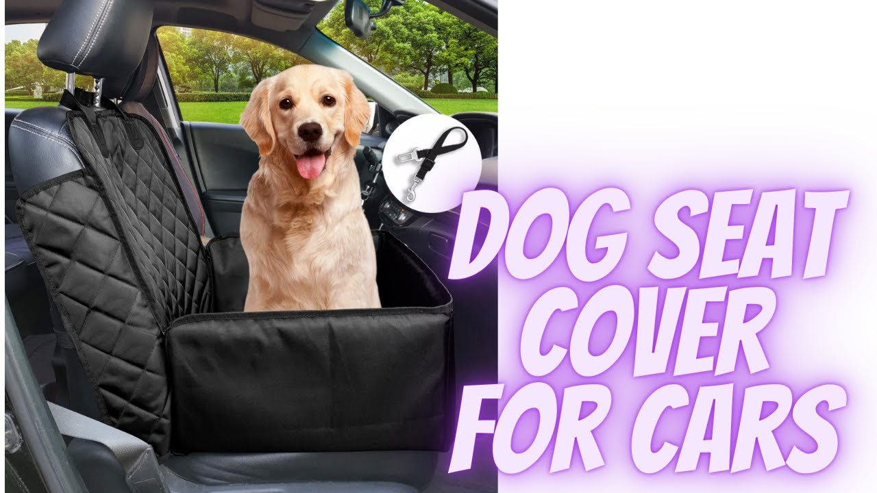 Best Budget Dog Seat Cover for Cars From Amazon In 2021