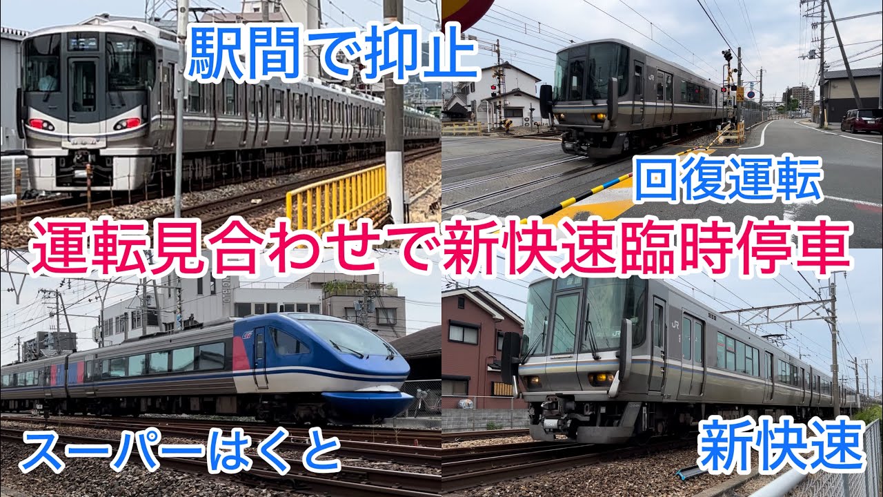 【撮影中に運転見合わせで新快速が宝殿駅に臨時停車！？ダイヤ乱れで開かずの踏切状態のJR神戸線走行集】回復運転の新快速やスーパーはくと・オール223系1000番台更新車も！宝殿駅付近にて！