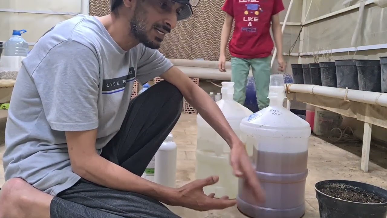 المخصب الحيوي EM1 إعداده واستخدامه