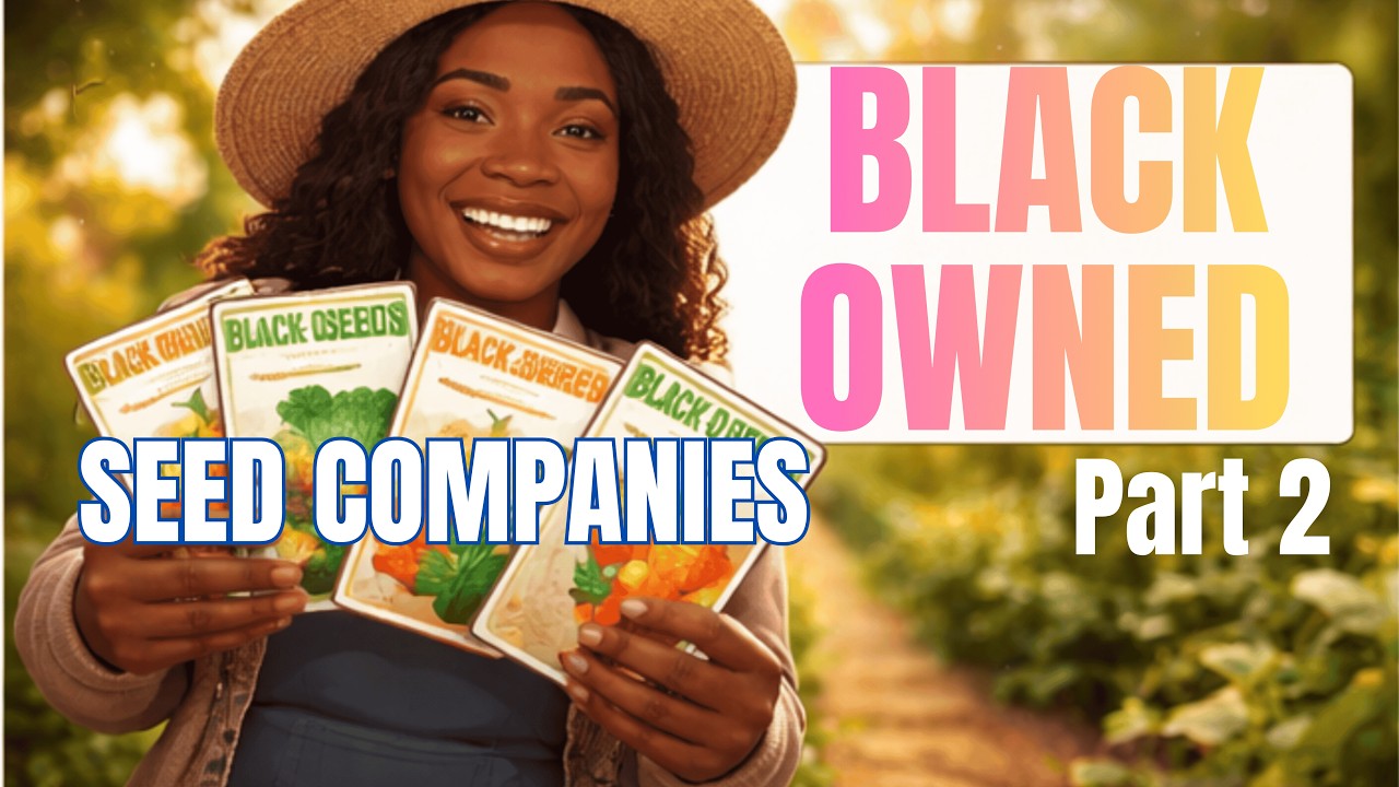 BLACK OWNED Seed Companies PART 2 | Seed Shop With Me | Container Gardening #blackgardeners