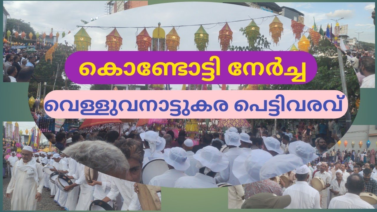 കൊണ്ടോട്ടി നേർച്ച വെള്ളുവനാട്ടുകര പെട്ടിവരവ് ❤️|Kondotty Nercha 2025 | Festival in Kondotty