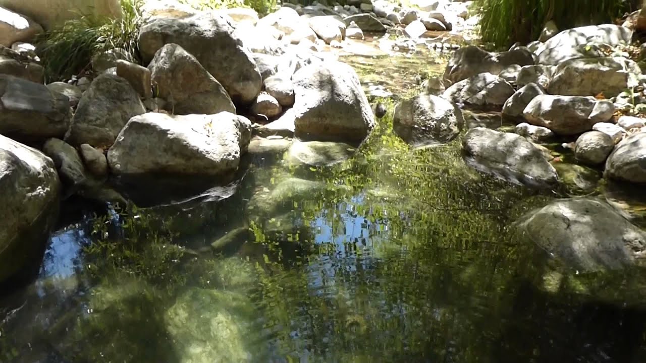 Tassajara Zen Goddesses 2014
