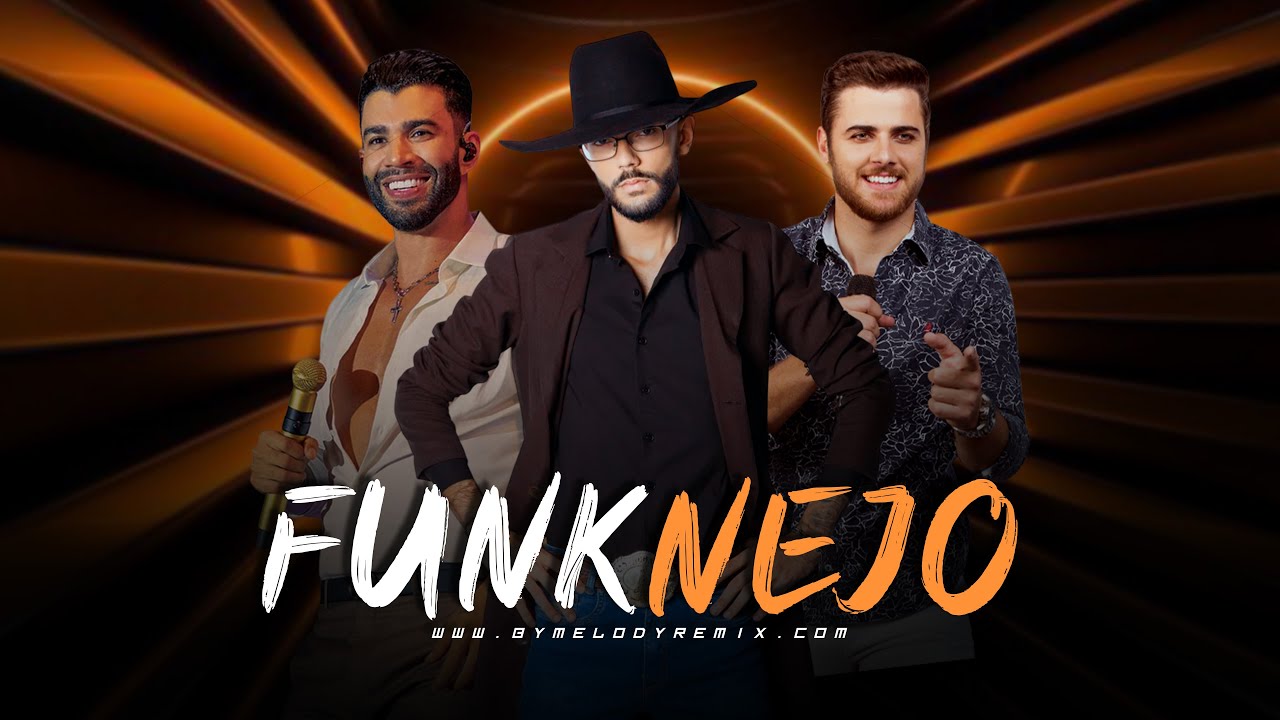 FUNKNEJO | Gusttavo Lima, Luan Pereira, Zé Neto e Cristiano [ REMIX ]