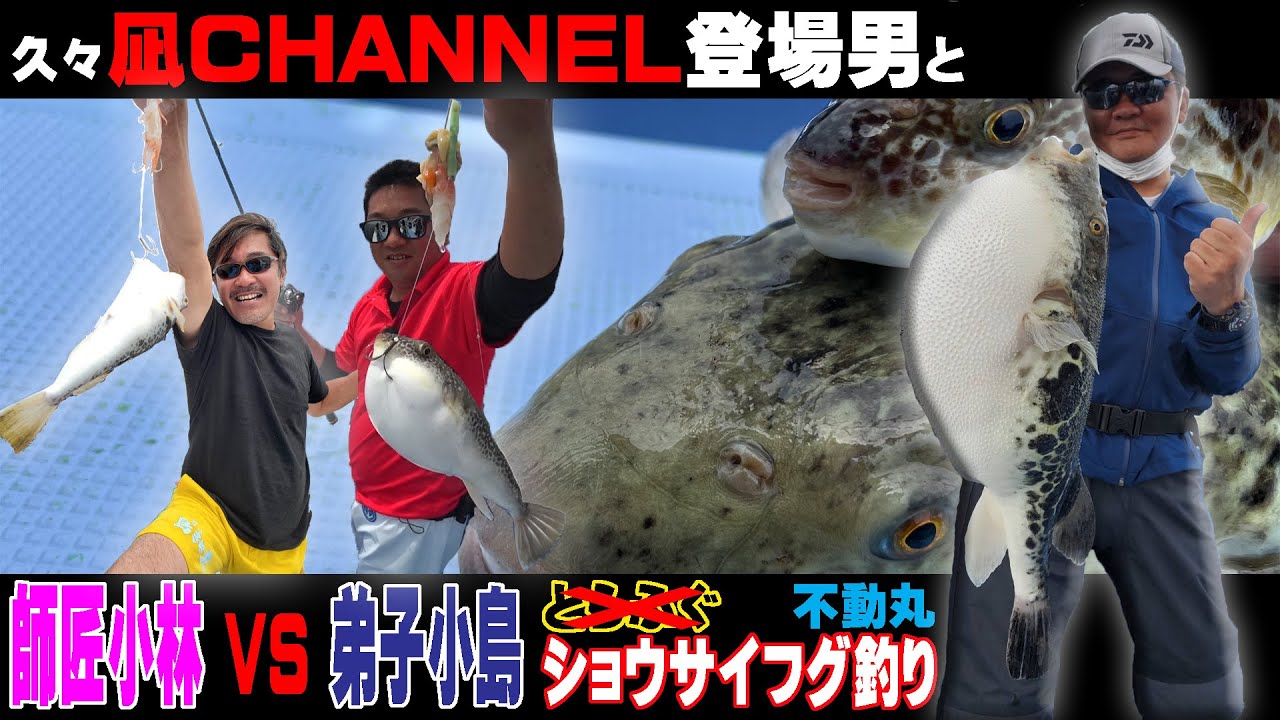 【不動丸】ショウサイフグ釣り　大洗沖
